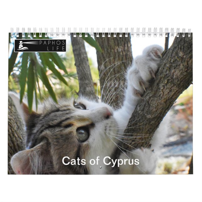 Katter på Cypern av PaphosLife Kalender (Omslag)