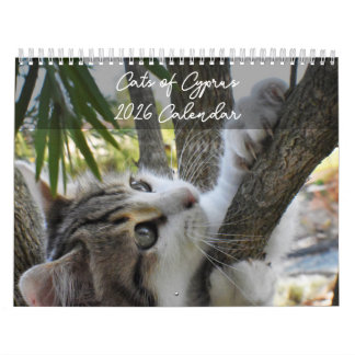 Katter på Cypern enligt PaphosLife Calendar Kalender