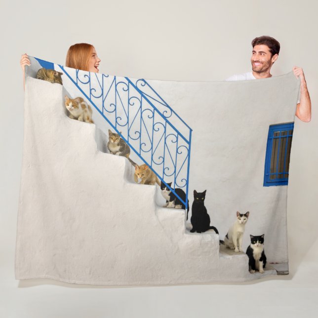 Katter på en vit trappa i en grekisk by fleecefilt (På plats)