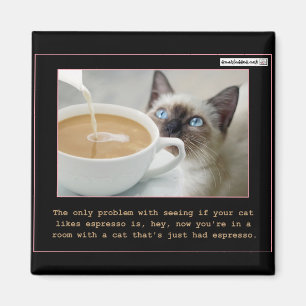 Katter på espresso magnet