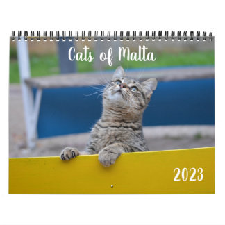 Katter på Malta - 2023 års kalender
