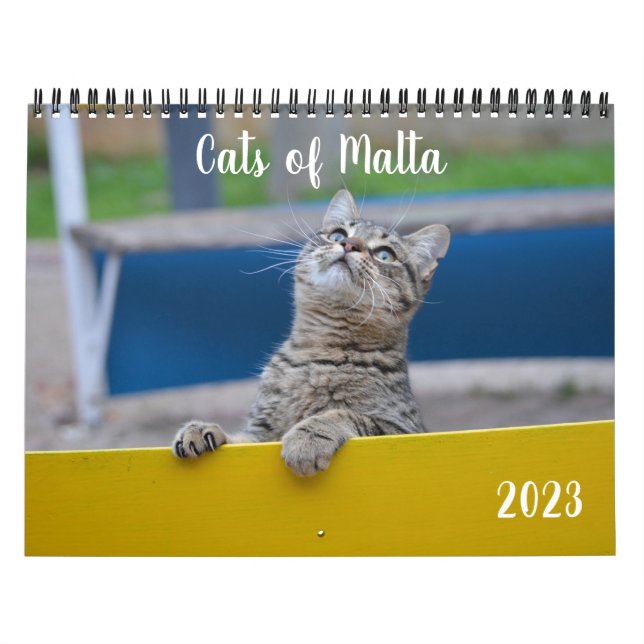 Katter på Malta - 2023 års kalender (Omslag)