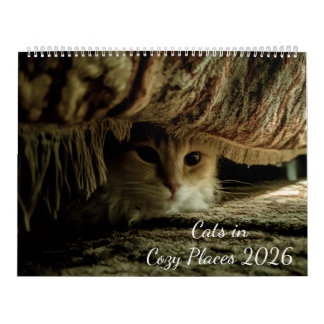 Katter på mysiga platser 2026 kalender