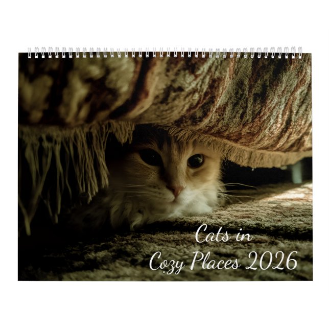 Katter på mysiga platser 2026 kalender (Omslag)