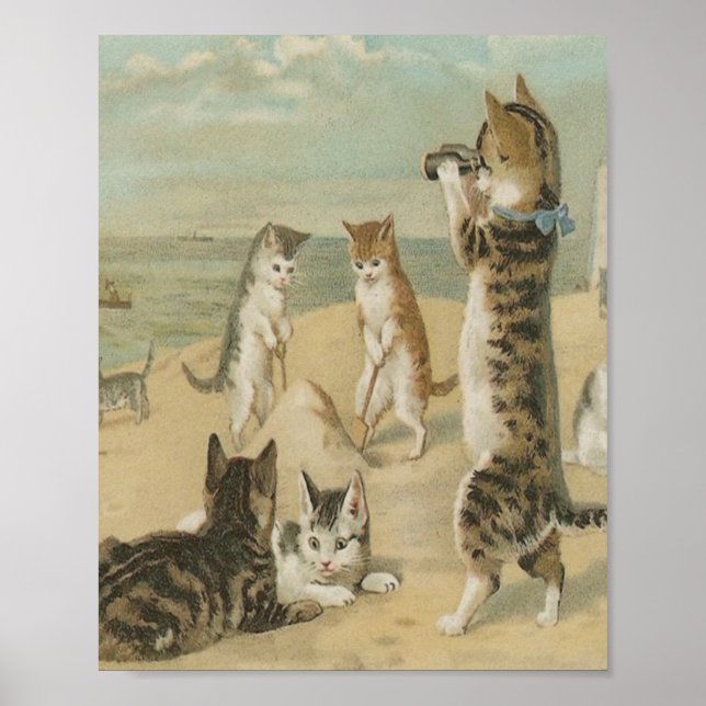 Katter på Vintagen Beach Poster (Framsidan)