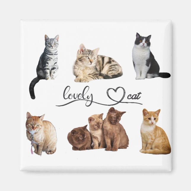 katter paket, paket magnet (Framsidan)