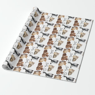 katter paket, paket presentpapper