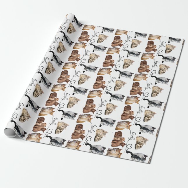 katter paket, paket presentpapper (Utrullad)