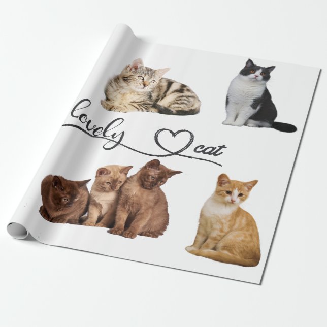 katter paket, paket presentpapper (Utrullad)