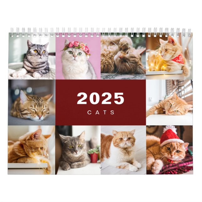 Katter Photo Collage Modern kalender för 2025 (Omslag)