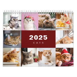 Katter Photo Collage Modern kalender för 2025