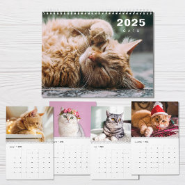 Katter Photo Collage Modern kalender för 2025