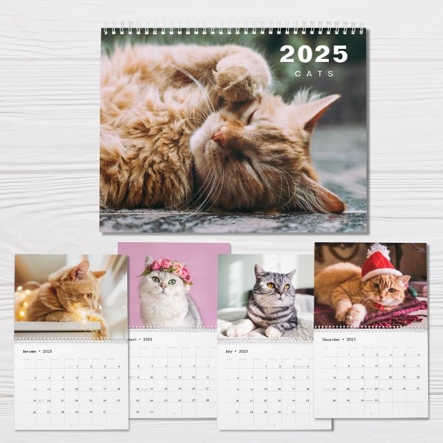 Katter Photo Collage Modern kalender för 2025 (Skapare uppladdad)