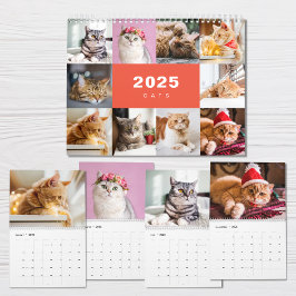 Katter Photo Collage Modern kalender för 2025