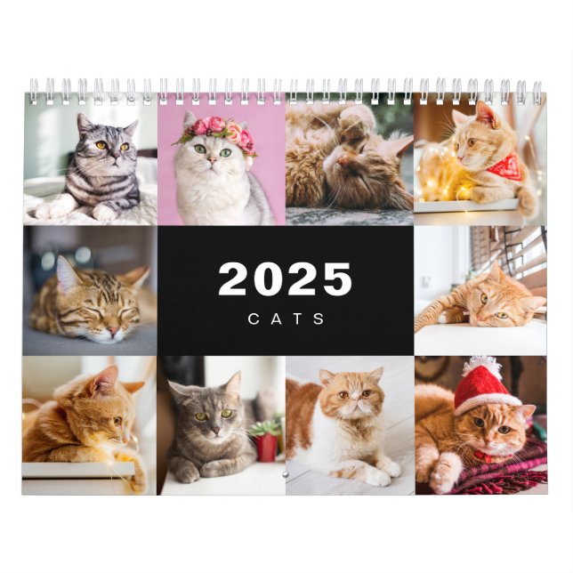 Katter Photo Collage Modern kalender för 2025 (Omslag)