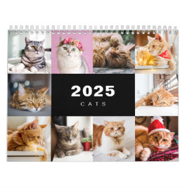 Katter Photo Collage Modern kalender för 2025