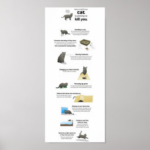 Katter Poster