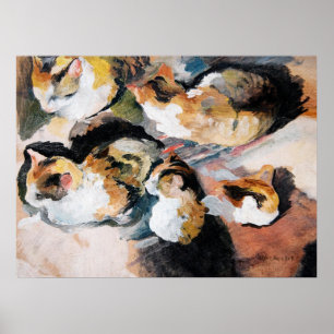 Katter Poster