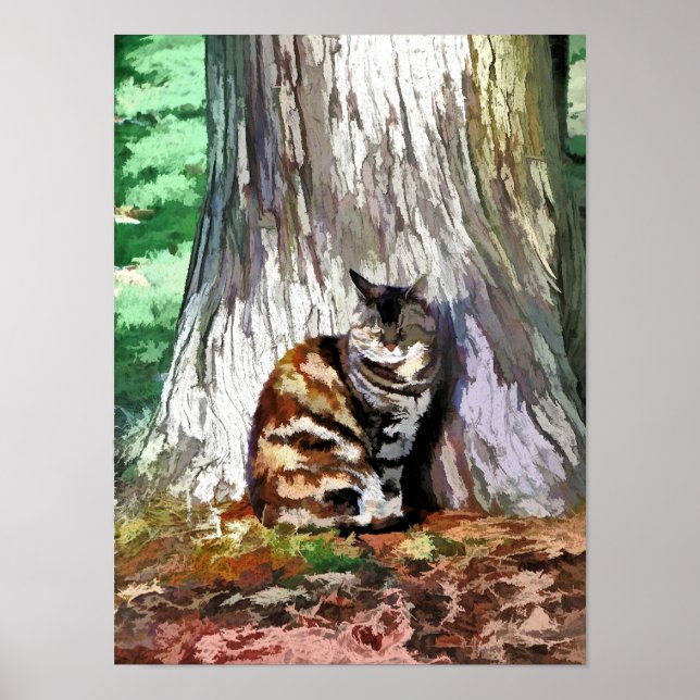 KATTER POSTER (Framsidan)