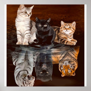 Katter Reflection Vatten, LUNT Cats Gift Idea Poster