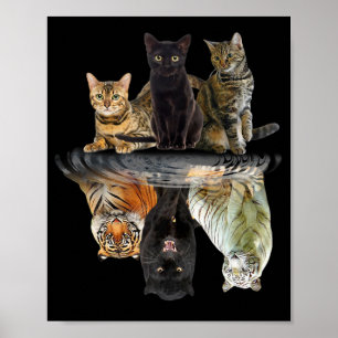 Katter - reflekterande vänteläge - Lovers Cute Tig Poster