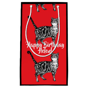 Katter röda tabby katt djur husdjur presentpåse