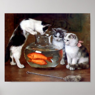 Katter som fiskar i guldfiskskål poster