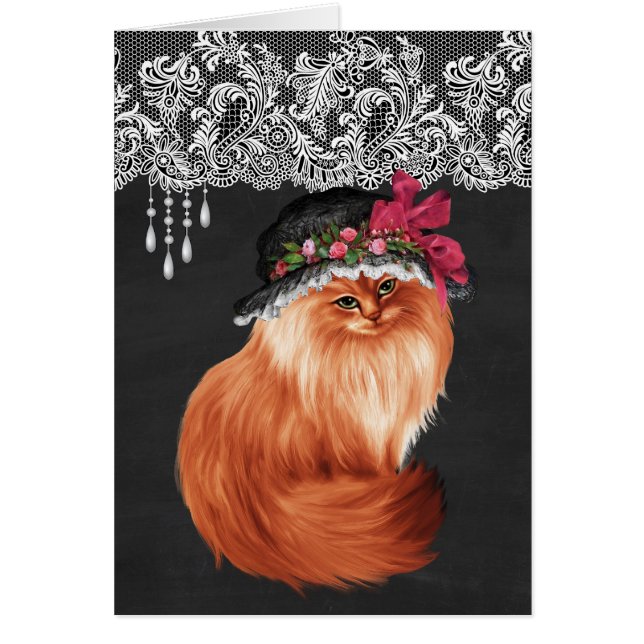 Katter som ha på sig hattar OBS kort (Framsidan)