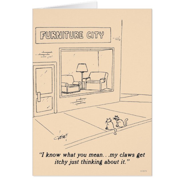 Katter som klöser möblemang OBS kort (Framsidan)