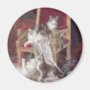 Katter som leker på röd sammetstolvintage magnet