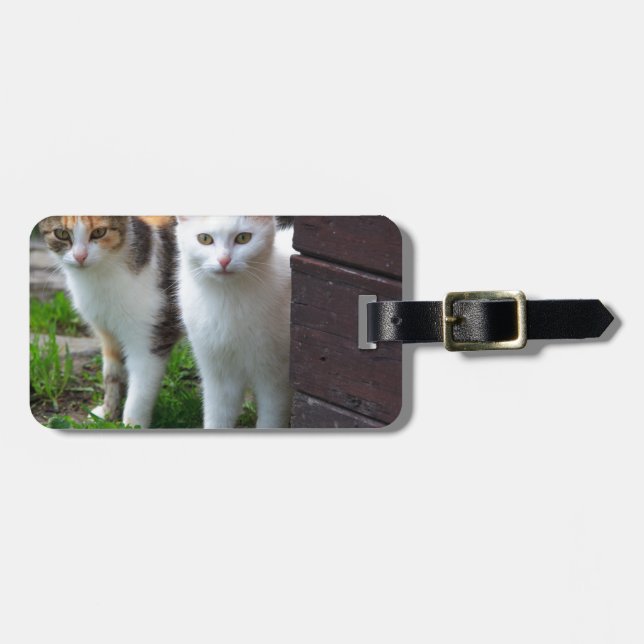 Katter som leker ute bagagebricka (Horisontell Framsida)