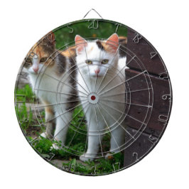 Katter som leker ute darttavla