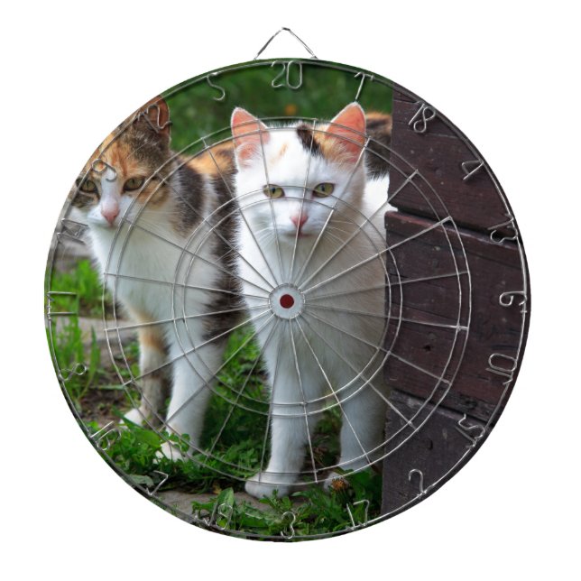 Katter som leker ute darttavla (Framsidan)