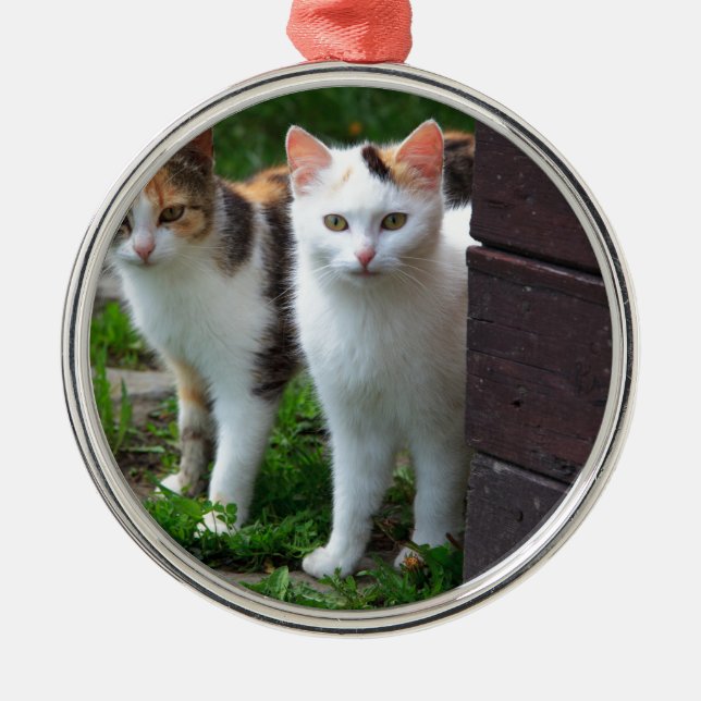 Katter som leker ute julgransprydnad metall (Framsidan)
