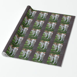 Katter som leker ute presentpapper