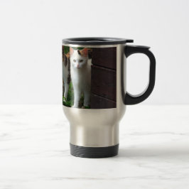 Katter som leker ute resemugg