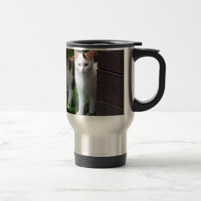 Katter som leker ute resemugg (Höger)