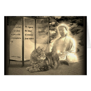 Katter som överväger som Buddha Hälsningskort