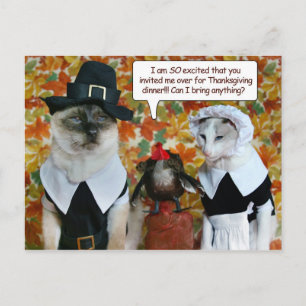 Katter som pilgrimer med Turkiets Thanksgiving Car Helg Vykort