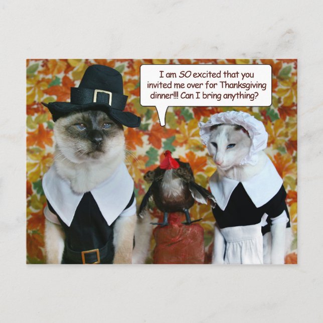 Katter som pilgrimer med Turkiets Thanksgiving Car Helg Vykort (Framsida)