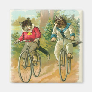 Katter som rider cyklar magnet