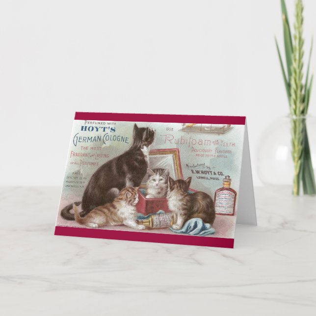 Katter som säljer kortet för Cologne Kort (Framsida)