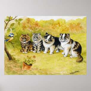 Katter som stirrar på en liten fågel, Louis Wain Poster