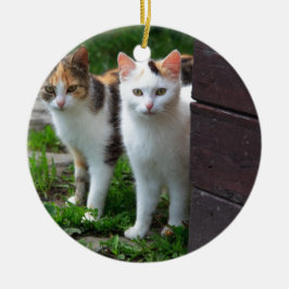 Katter spelar upp julgransprydnad keramik