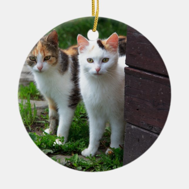 Katter spelar upp julgransprydnad keramik (Framsidan)