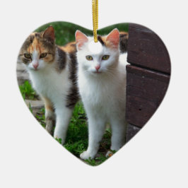 Katter spelar upp julgransprydnad keramik