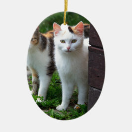 Katter spelar upp julgransprydnad keramik