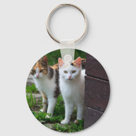 Katter spelar upp nyckelring