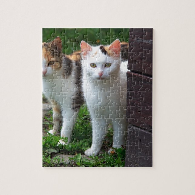 Katter spelar upp pussel (Vertikal)