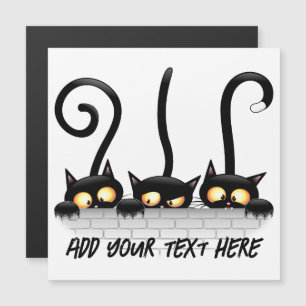 Katter, stygga, lekfulla och funna tecken